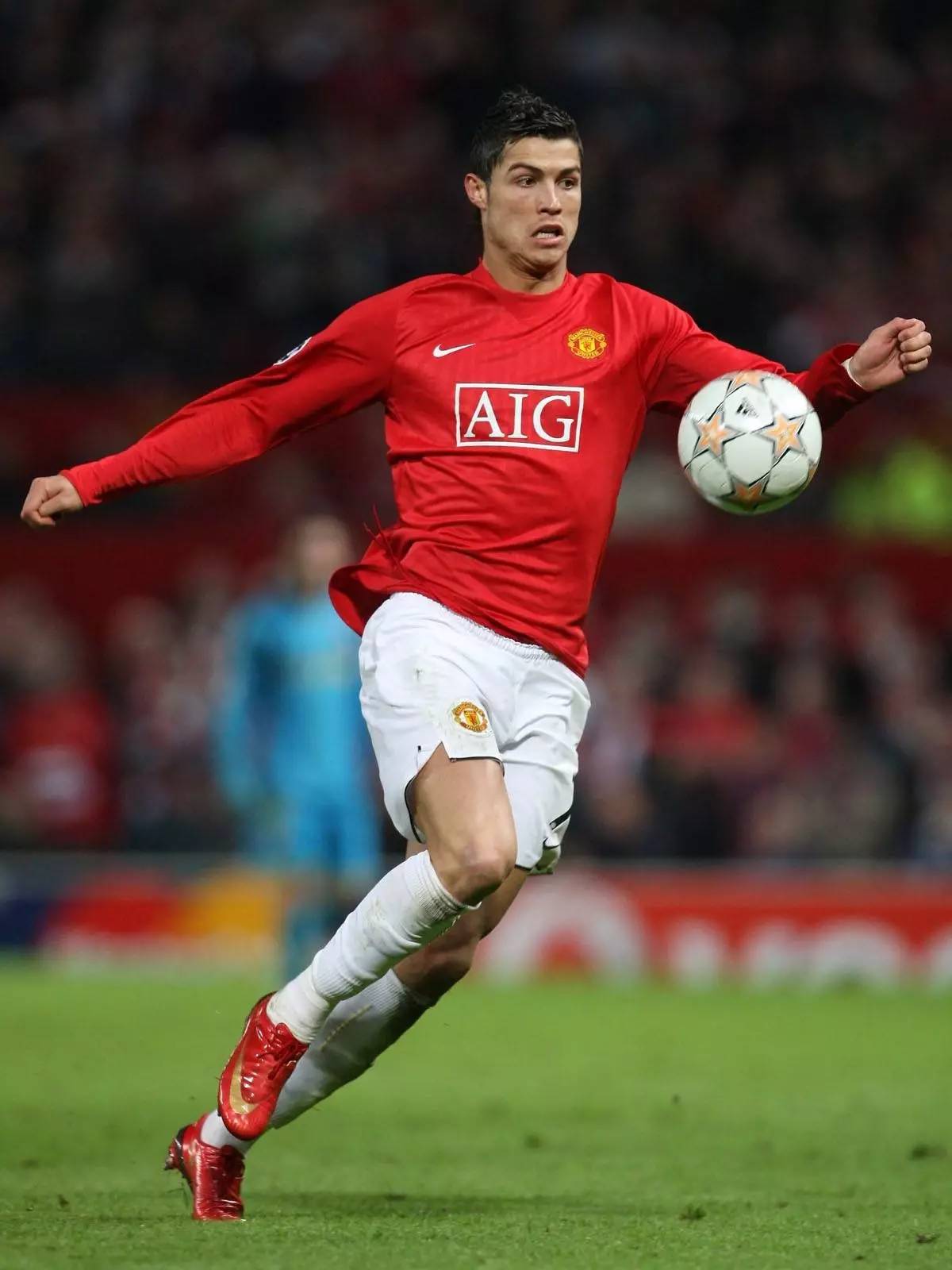 他们战术成 他们战术成