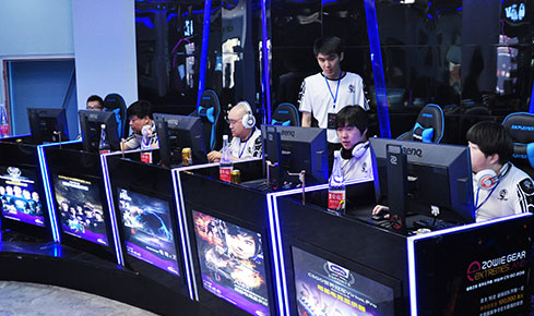 的进化路径 的进化路径